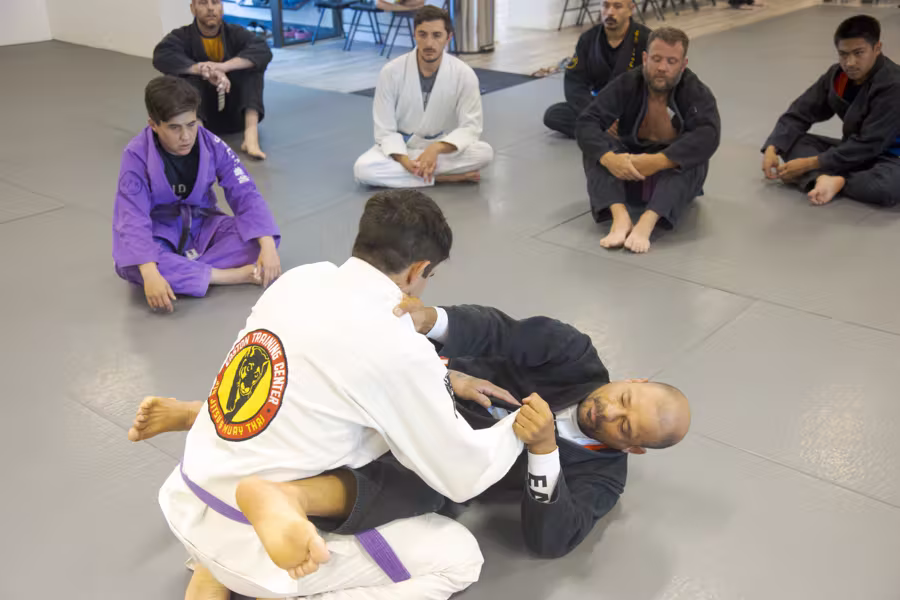 An adult Brazilian Jiu Jitsu class, two students rolling while the rest of the class watches from the mat.