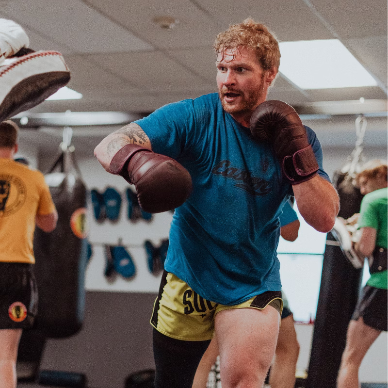 Muay Thai pads