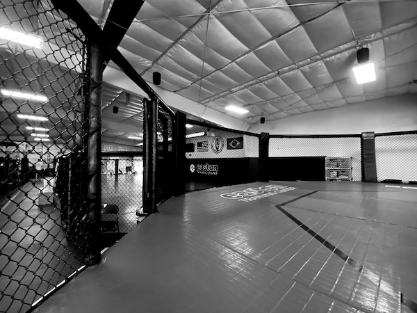 An image of an MMA octagon at Easton Training Center in Denver, CO.