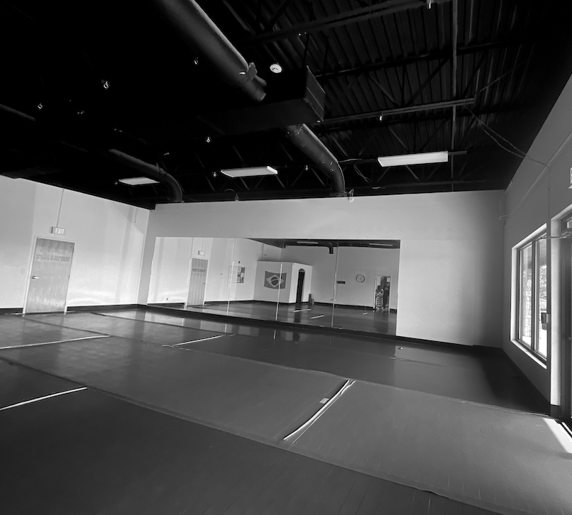 An image of the mat space at Matrix Martial Arts academy in Castle Rock, Colorado.