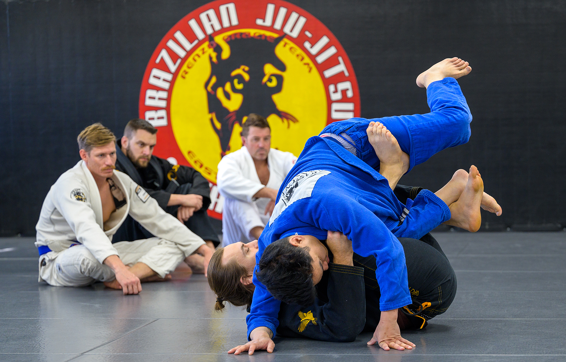 An image of a Brazilian jiujitsu class in Arvada at Easton Training Center.