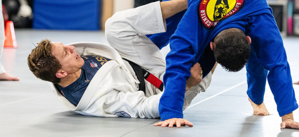 Strategies for BJJ