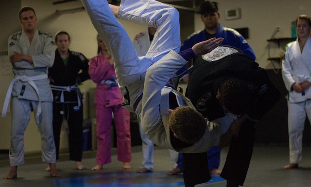 32499694563_1c988d69c9_z (1)