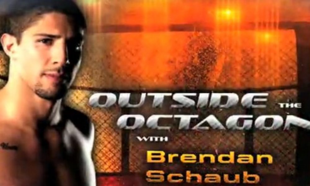 Brendan Schaub