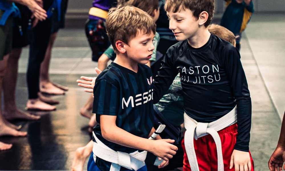 alphabet of martial arts kids