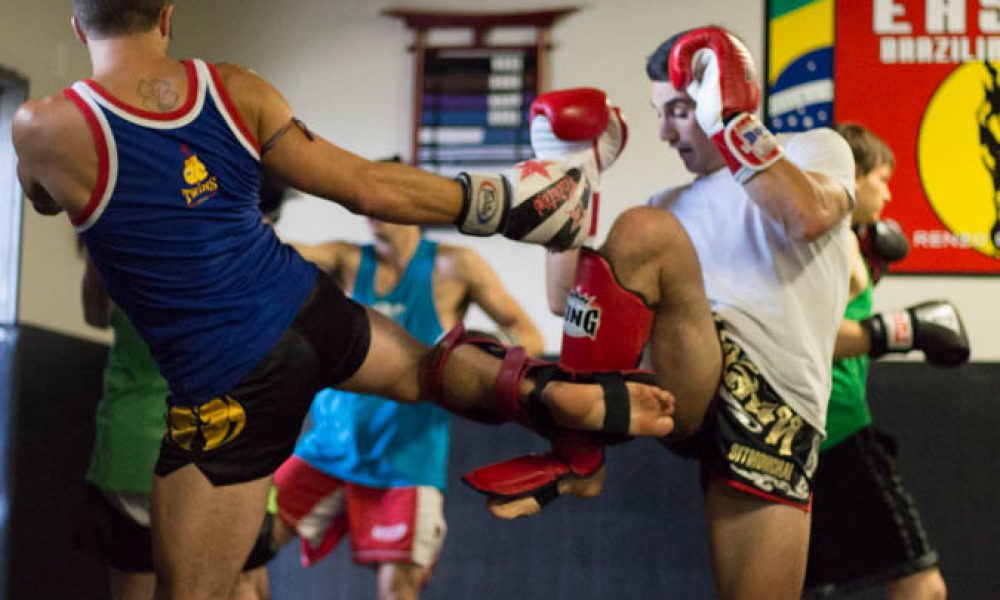 Steve Danny Kick Defense Block