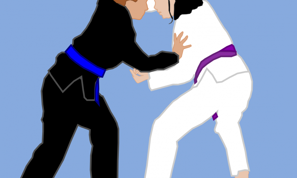 jiu_jitsu4