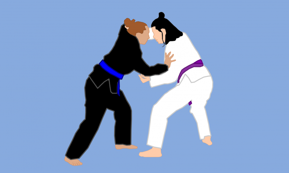 jiu_jitsu4b