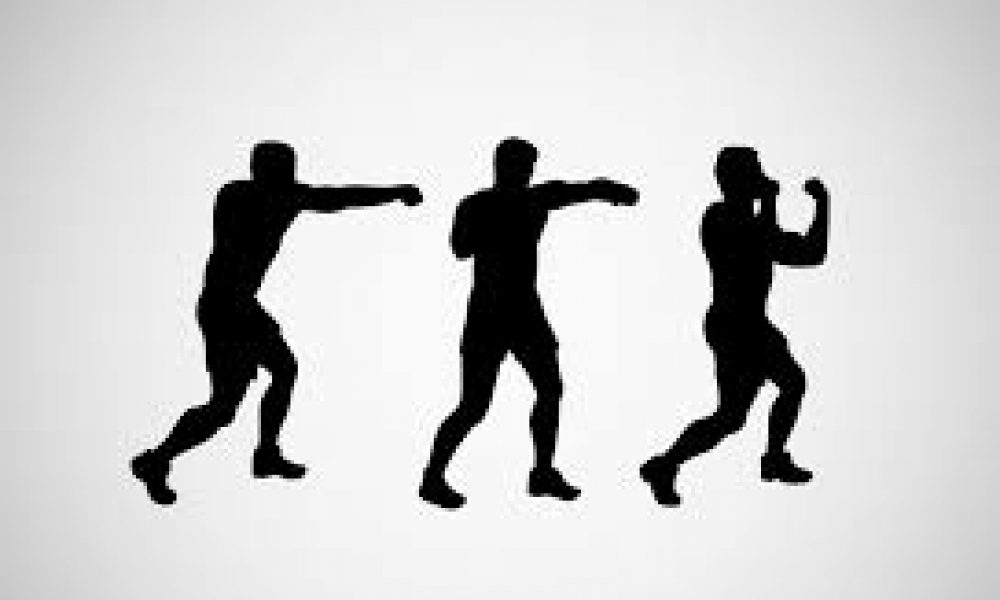 mt_shadow_boxing