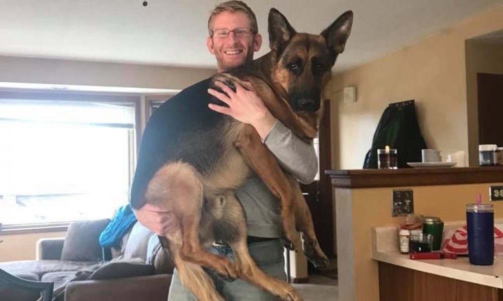 Ian Lieberman holding his German Shepherd Ulf